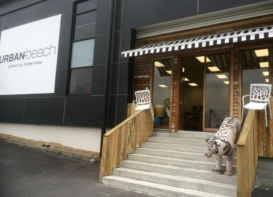 New additions to our Constellation store .. Is that a tiger I can see??
